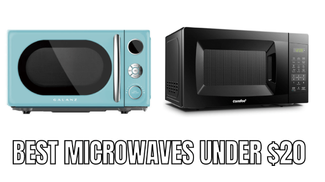 Best Microwaves under $20 Reviews 