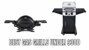 Best gas grills under $300 dollars Reviews