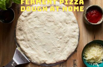 How To Make Cold Ferment Pizza Dough At Home
