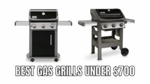 Best gas grills under $700 Reviews