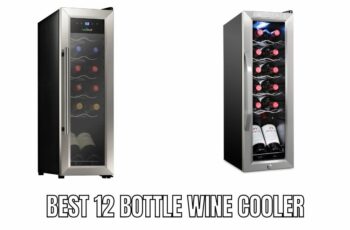 Top 10 best 12 bottle wine cooler Reviews in 2023