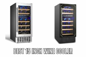 Top 10 best 15 inch wine cooler Reviews in 2023