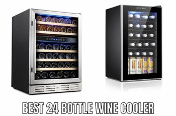 Top 10 Best 24 Bottle Wine Cooler Reviews in 2023