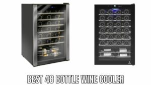 Best 48 Bottle Wine Cooler