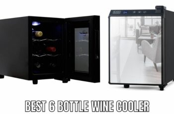 Top 10 Best 6 Bottle Wine Cooler Reviews in 2023