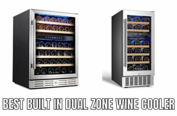 Top 10 best built in dual zone wine cooler Reviews in 2023