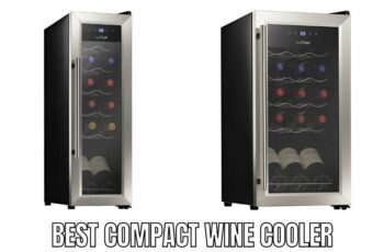 Top 10 Best Compact Wine Cooler Reviews in 2023