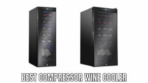 Best Compressor Wine Cooler
