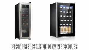 Best Free Standing Wine Cooler