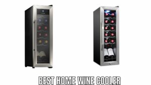 Best Home Wine Cooler