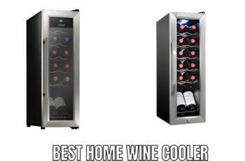 Top 10 Best Home Wine Cooler Reviews in 2023