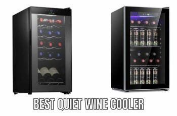 Top 10 Best Quiet Wine Cooler Reviews in 2023