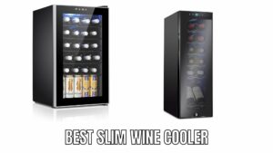 Best Slim Wine Cooler