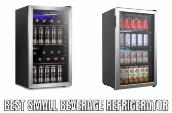 Top 10 Best Small Beverage Refrigerator Reviews in 2023