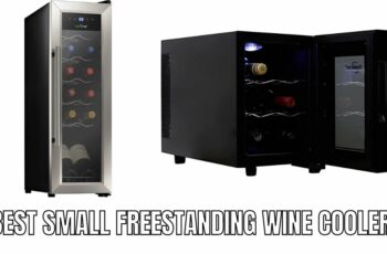 Top 10 Best Small Freestanding Wine Cooler Reviews in 2023