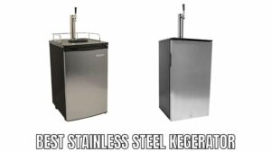 Best Stainless Steel Kegerator