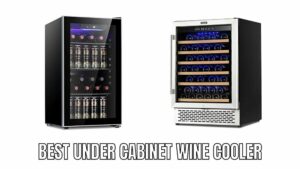 Best Under Cabinet Wine Cooler