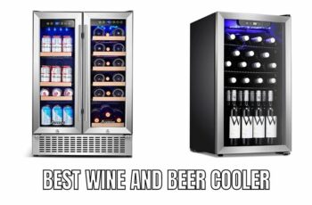 Top 9 Best Wine And Beer Cooler Reviews in 2023