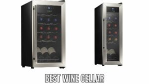 Best Wine Cellar