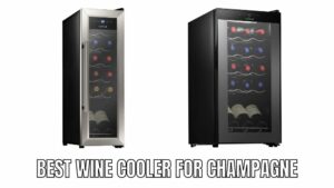 Best Wine Cooler For Champagne