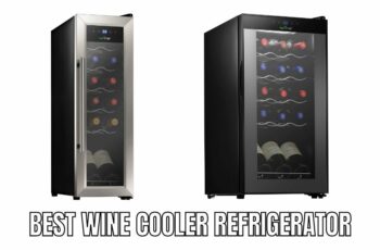 Top 10 best wine cooler refrigerator Reviews in 2023