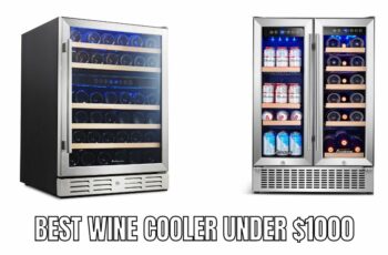 Top 10 Best Wine Cooler Under $1000 Reviews in 2023