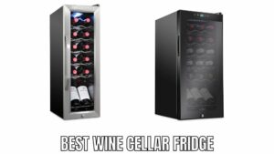 best wine cellar fridge