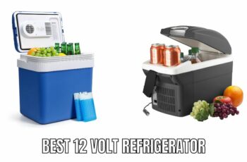 Top 10 best 12v portable refrigerator Reviews in 2023