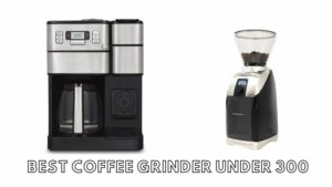 best coffee grinder under 300