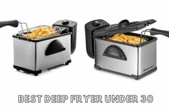 The 10 best deep fryer under 30 Reviews in 2023