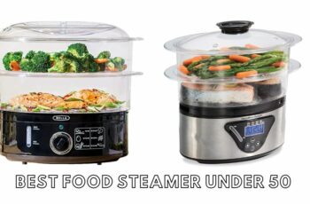 The 10 best food steamer under 50 Reviews in 2023
