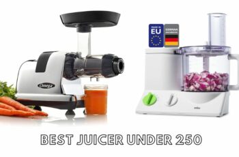 The 10 best juicer under 250 Reviews in 2023