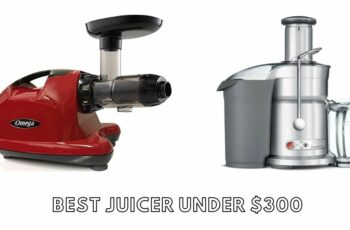 The 10 best juicer under $300 Reviews in 2023
