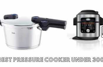 The 10 best pressure cooker under 300 Reviews in 2023