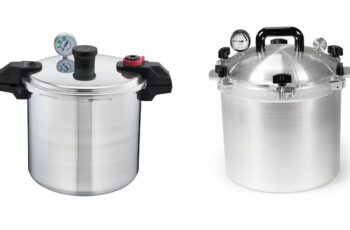 The 10 best pressure cooker under 800 Reviews in 2023
